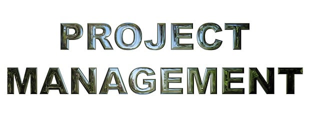 How to Write a Project Management Resume Writing 2 Project Management