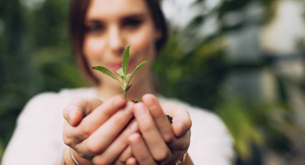 Where Whispers of Resilience Fight the Deluge: Free Verse Poem 4 Planting a seed of hope even in darkness. Cultivating resilience for future growth.