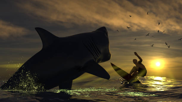 How to Stay Safe at the Beach: Essential Shark Safety Tips 2 Shark Safety
