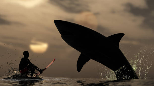 How to Stay Safe at the Beach: Essential Shark Safety Tips 3 Shark Safety
